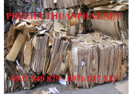 Thu Mua Phế Liệu Giấy - Bình Tân