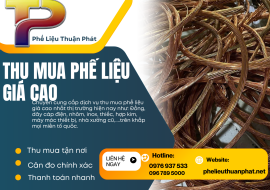 Thu Mua Phế Liệu Đồng Giá Cao Tại Hà Nội | Tận Nơi, Cân Đo Uy Tín