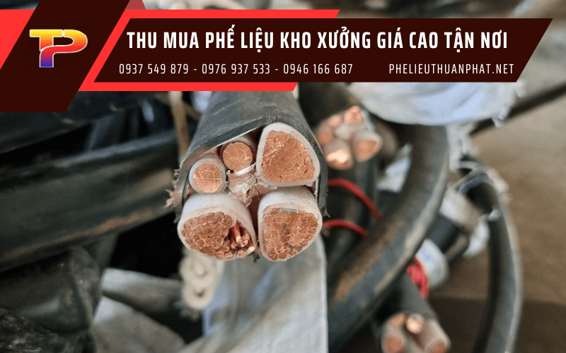 thu mua phế liệu nhà kho xưởng