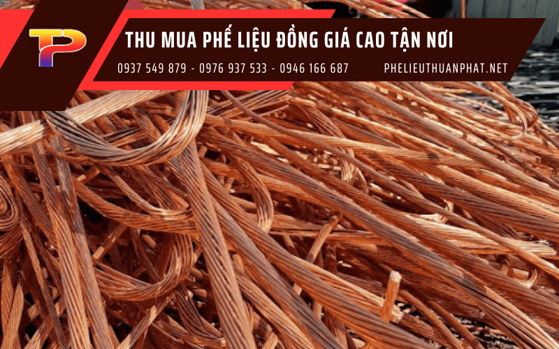 Thu mua phế liệu